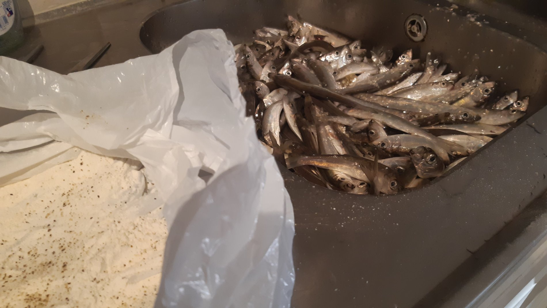 🍽️ Verpflegung