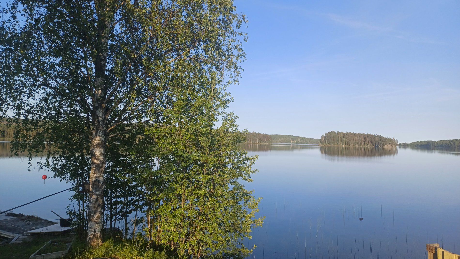 🌲 Natur