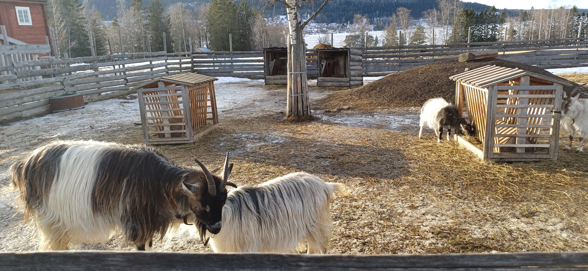 🏔️ Nordschweden