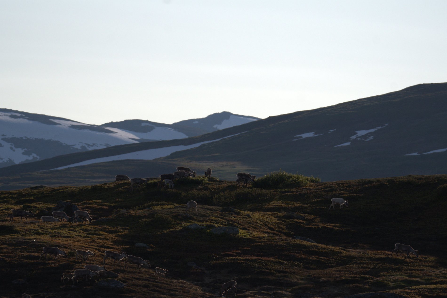 🏔️ Nordschweden