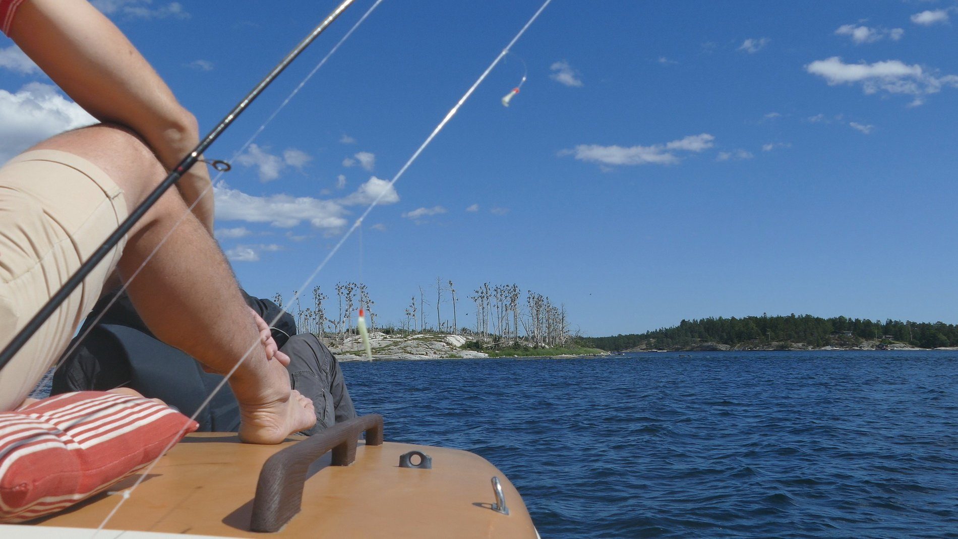Sea Fishing