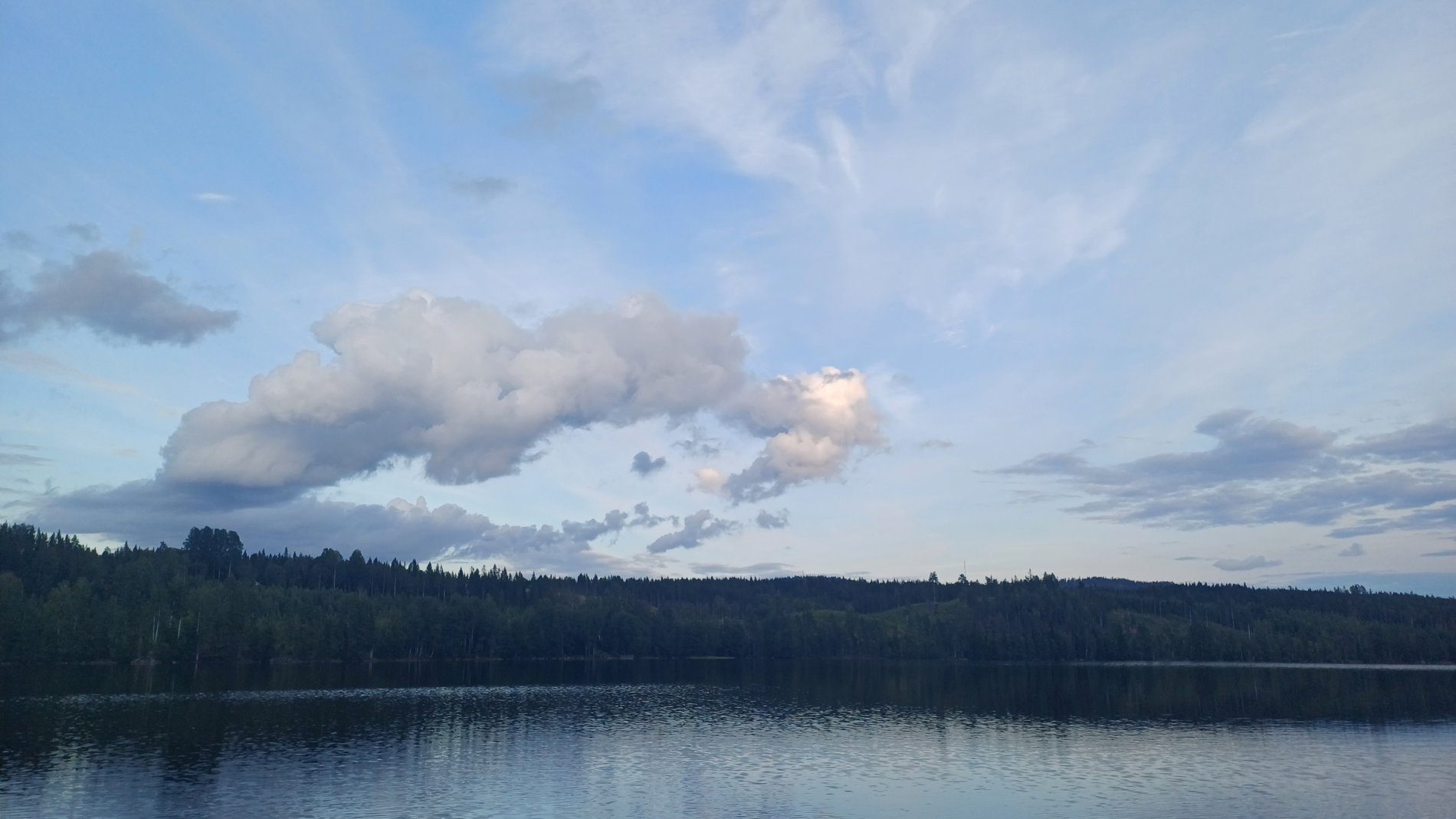 🌲 Nature