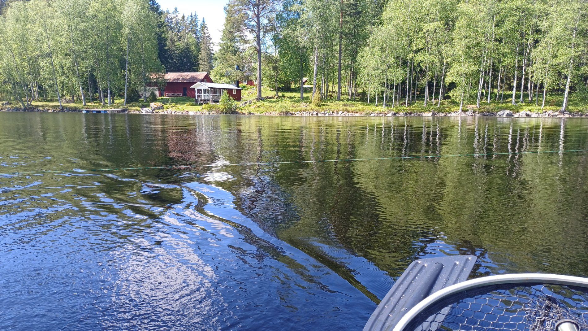 🌲 Nature