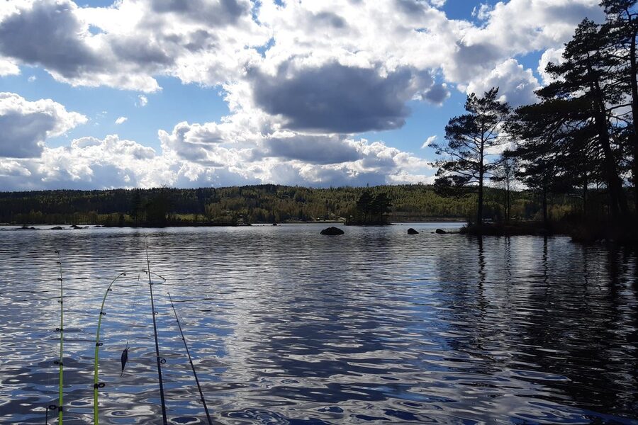 Rods on the shore of a Swedish lake