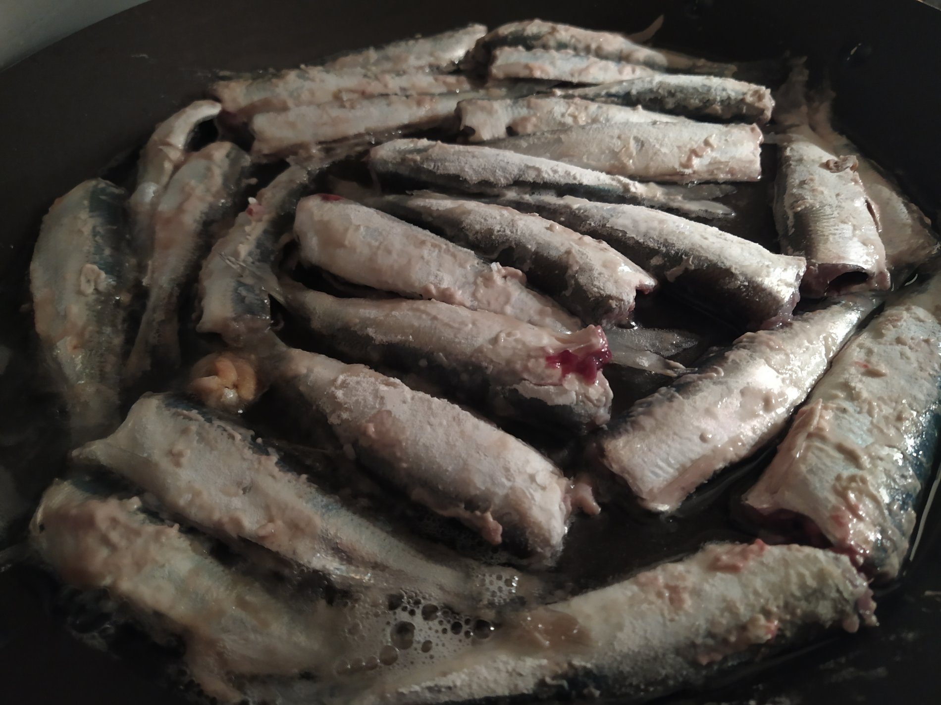 🐟 Herring and Mackerel