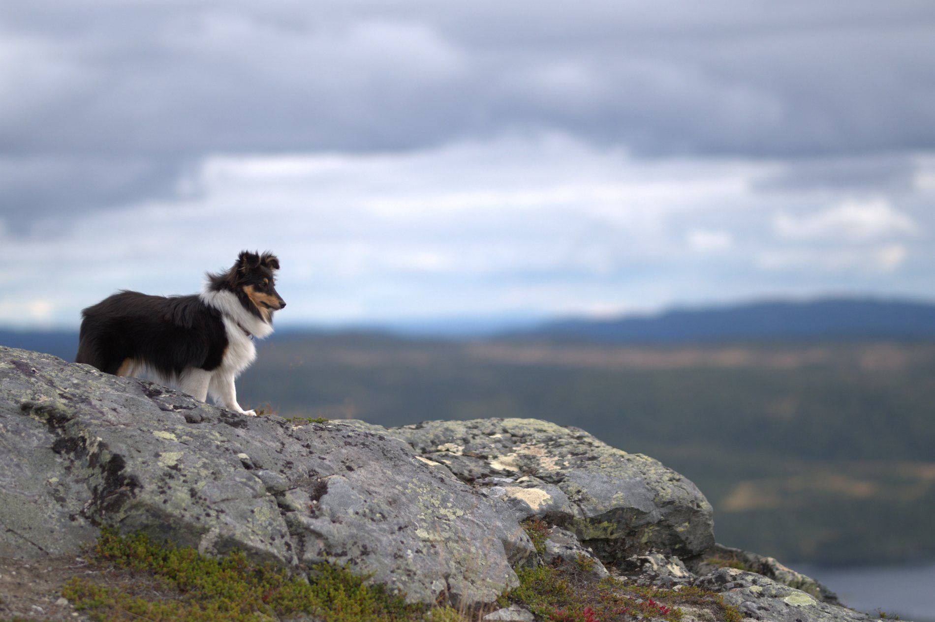 🏔️ Northern Sweden