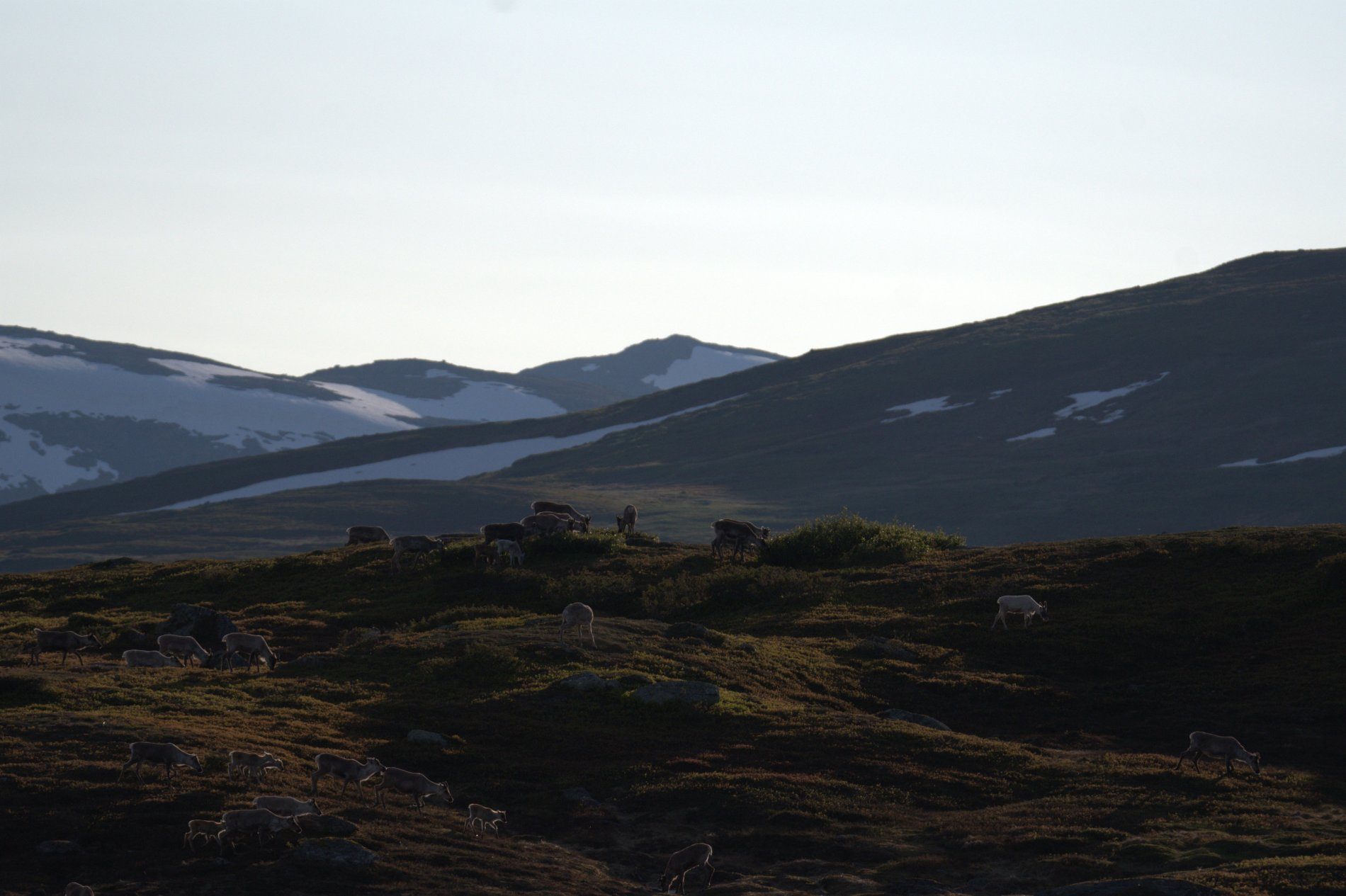 🏔️ Northern Sweden