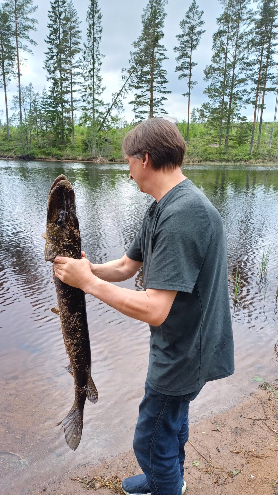 Trophy pike