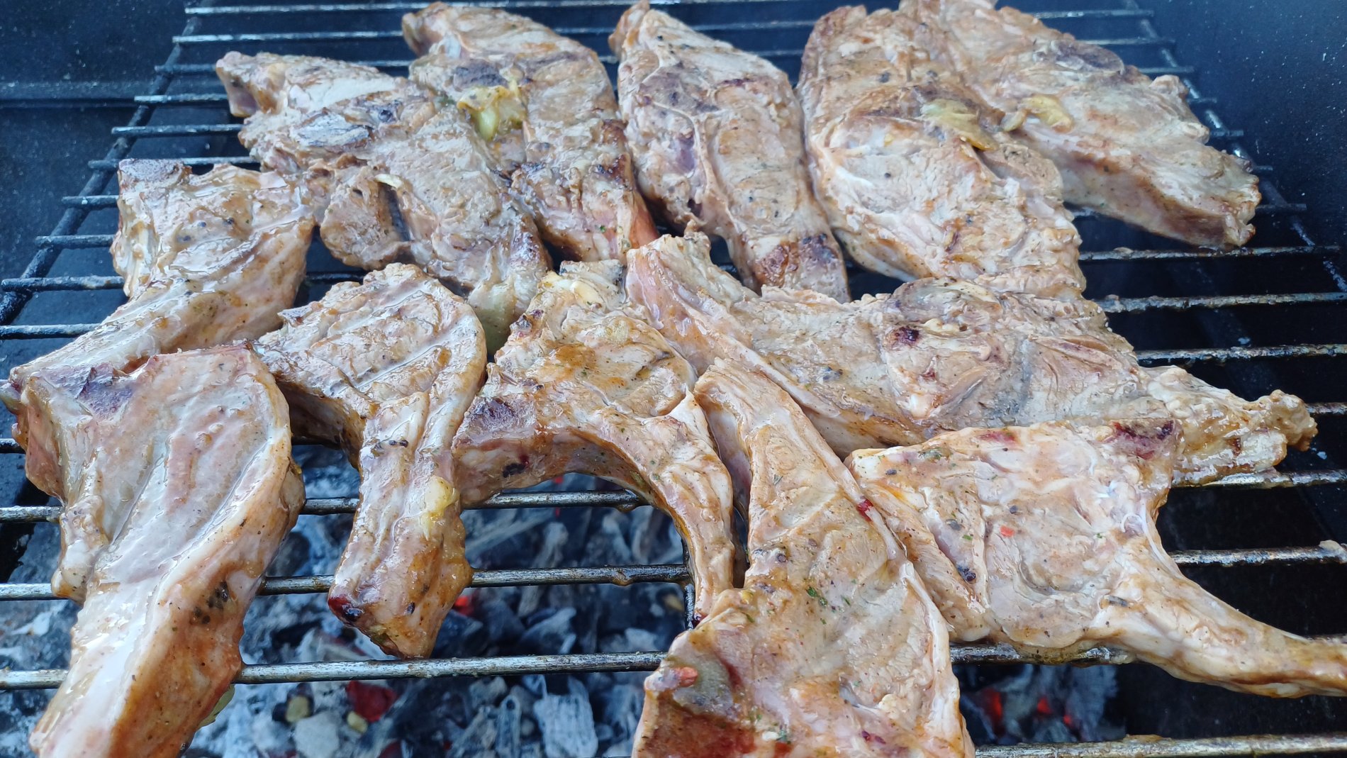 🍽️ Mat