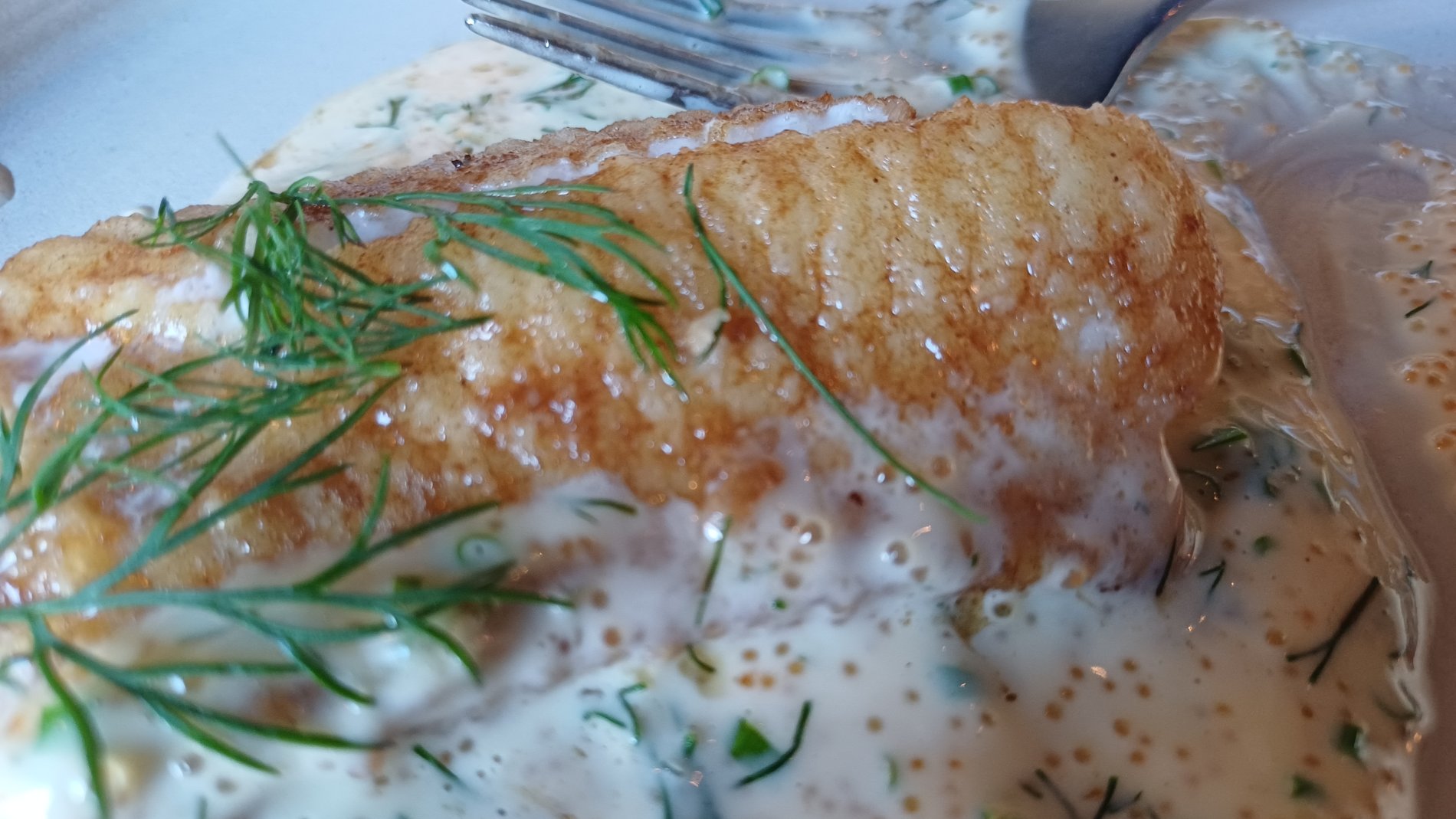 🍽️ Mat