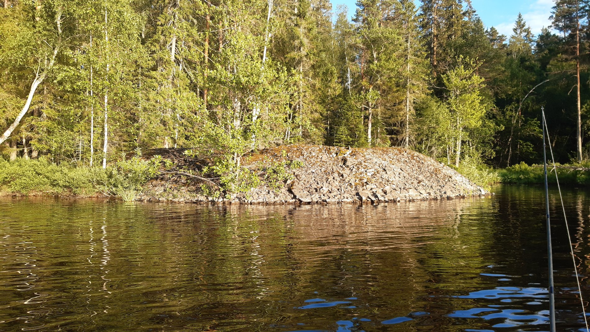 🌲 Natur