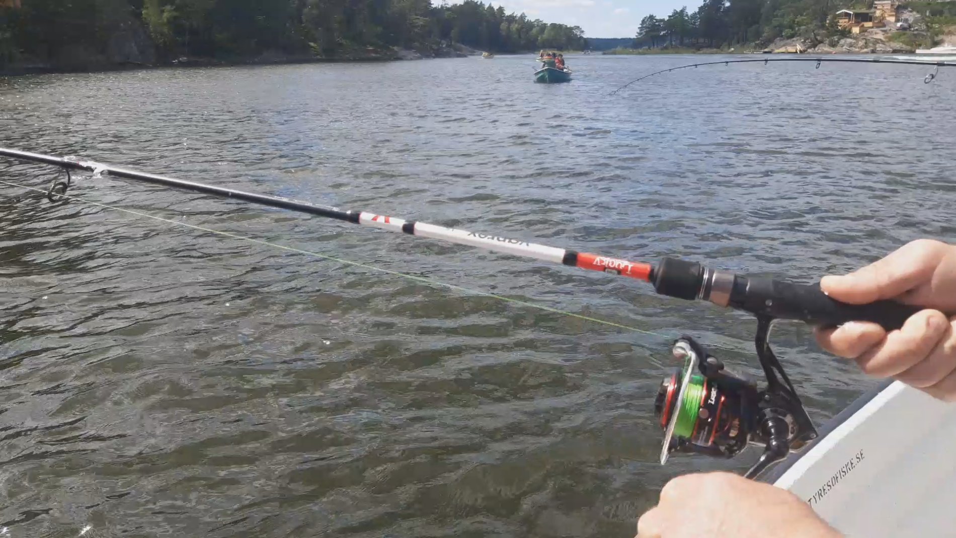 🐟 Strömming och makrill