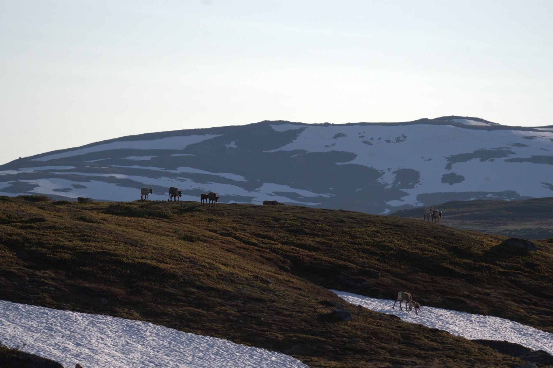 🏔️ Norra Sverige