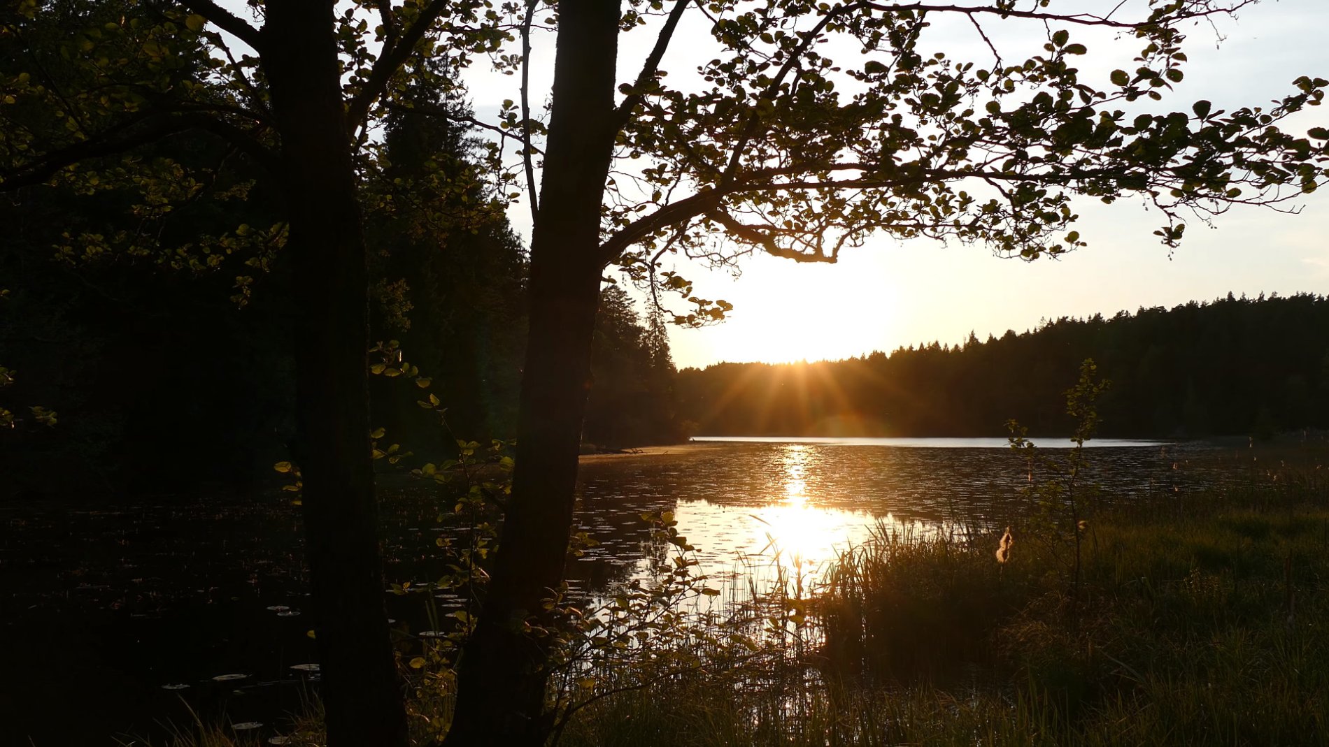 📍 Tyresö-Haninge